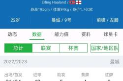 哈兰德遭遇争议红牌，姆巴佩乘势反超比分完成逆转的简单介绍